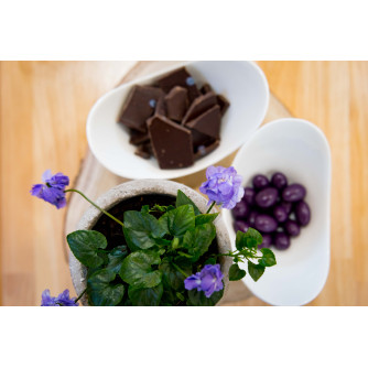 Dark chocolate 100g with violet flavour