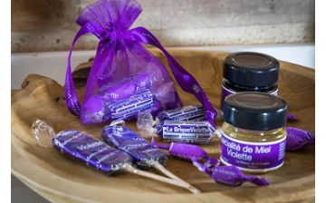 Boutique : Découvrez un large choix de produits dédiés à l'univers de la Violette de Toulouse