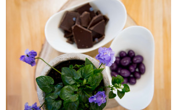 Bonbons et chocolats à la Violette