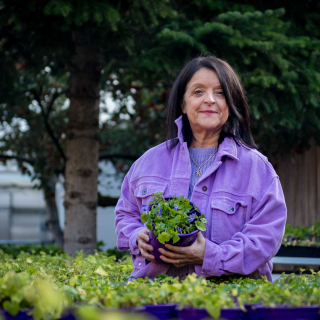 Et vous, l'endroit où vous vous sentez le mieux ? Pour Hélène, c'est dans nos serres de Violettes de Toulouse (et ça fait 30 ans que c'est son endroit préféré) #FemmeEntrepreneure #FemmeEntrepreneuse #FemmeEngagée #OccitanieTourisme #TourismeOccitanie #OccitanieMyLove #VoyageOccitanie #RegionOccitanie #FCE #FCE31 #portraittoulouse #portraitdefemme #Violettes #Violette #ViolettesDeToulouse #MaisonDeLaViolette