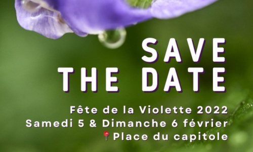 RDV en février pour la Fête de la Violette édition 2022
