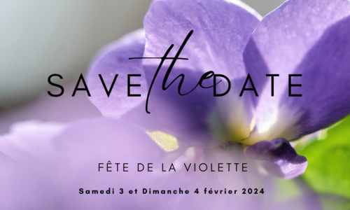 Fête de la Violette 2024 à Toulouse : RDV les 3 & 4 février 